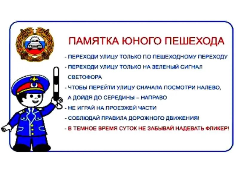 Профилактика детского дорожно-транспортного травматизма.
